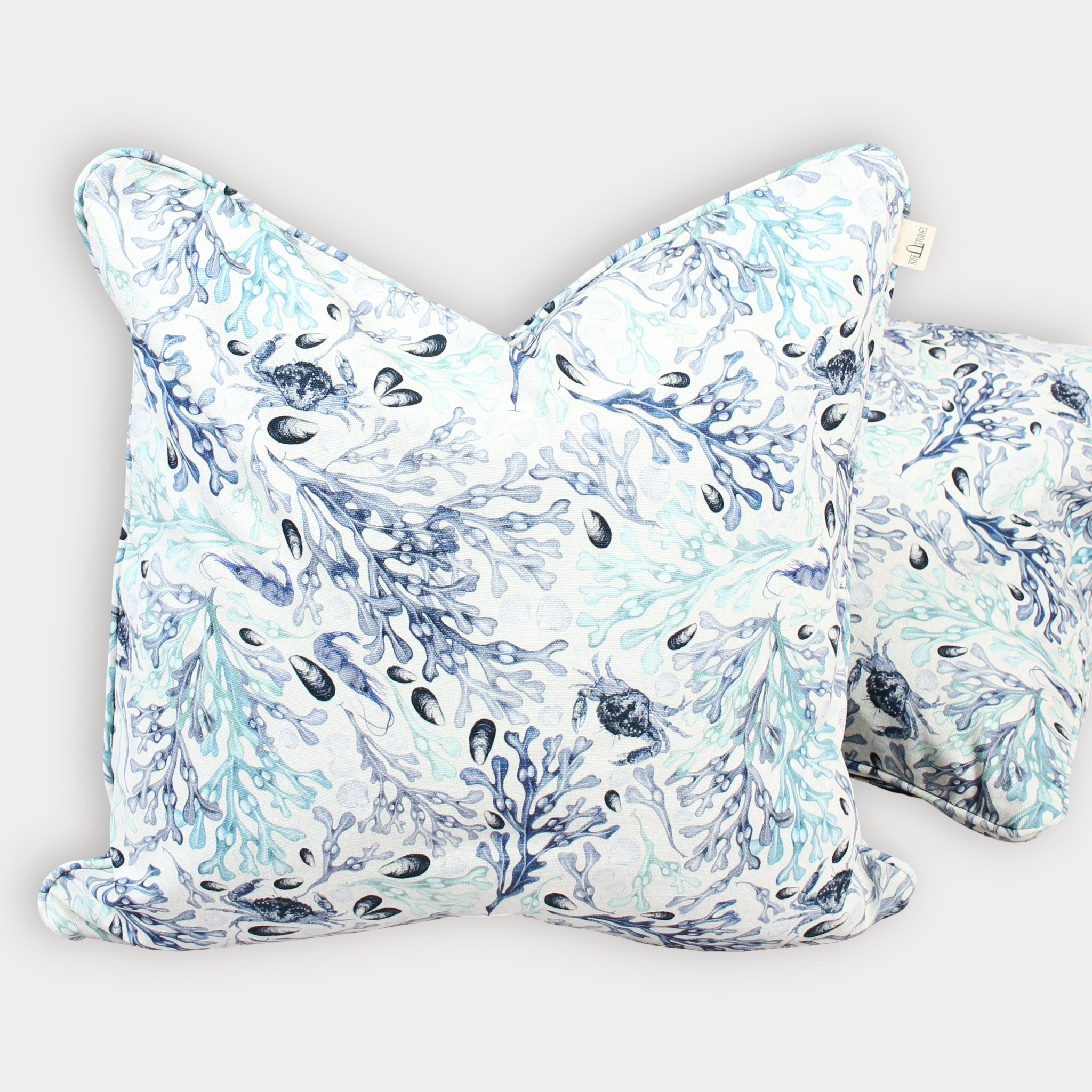 Kudde - Beach Falsterbo Ocean