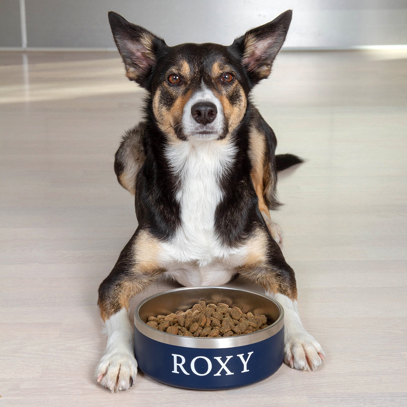 Dog Bowl - Falsterbo Ocean