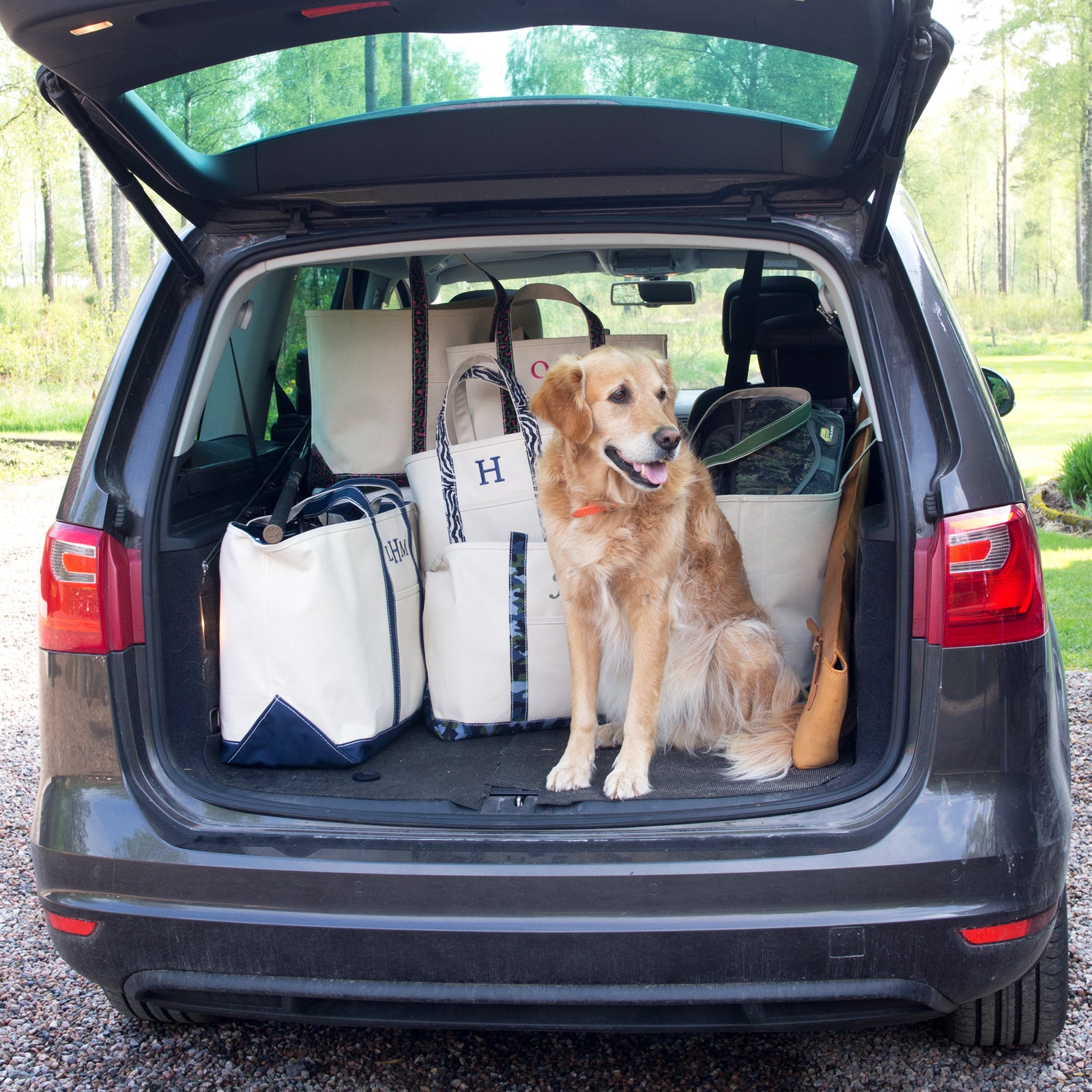 Roadtrip to the woods