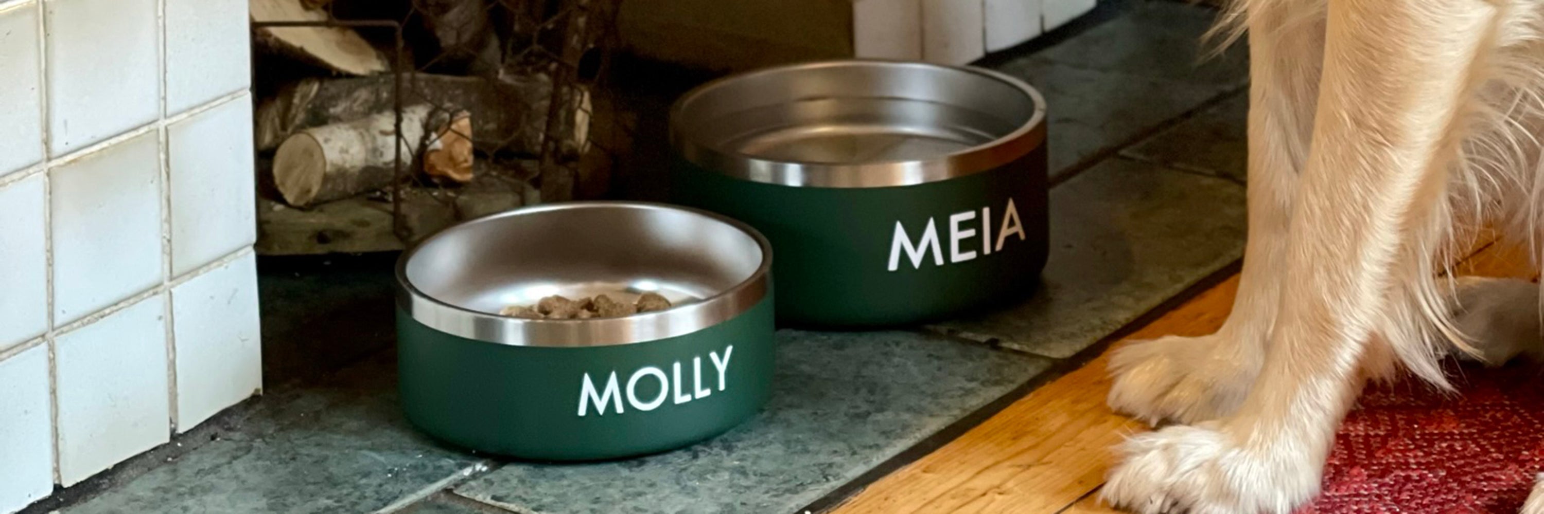 DOG BOWL