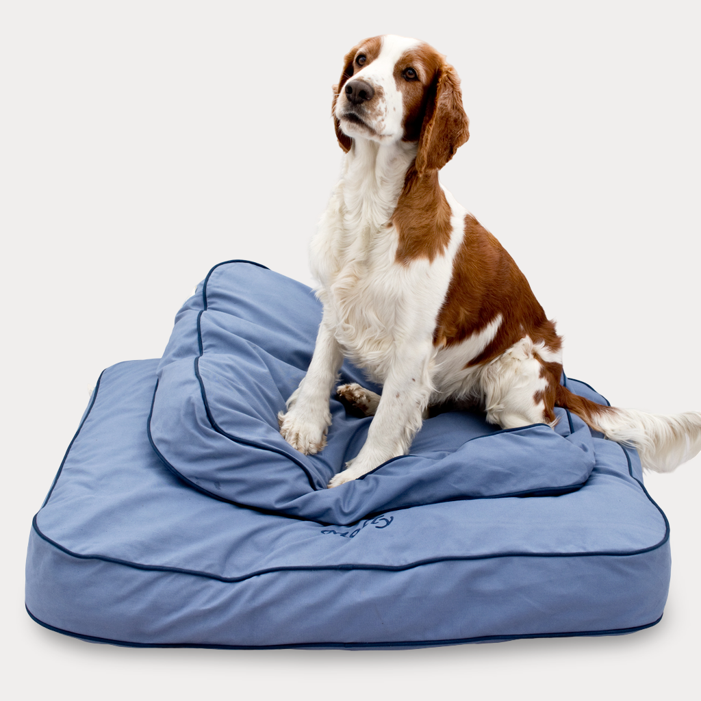 Hundbädd - Falsterbo Sky