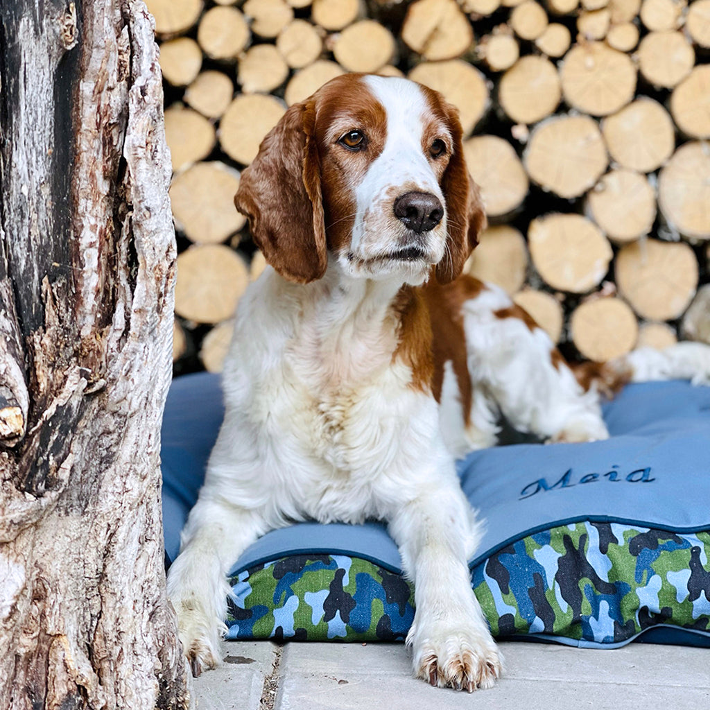 Dog Bed - Camo Falsterbo Ocean - Model