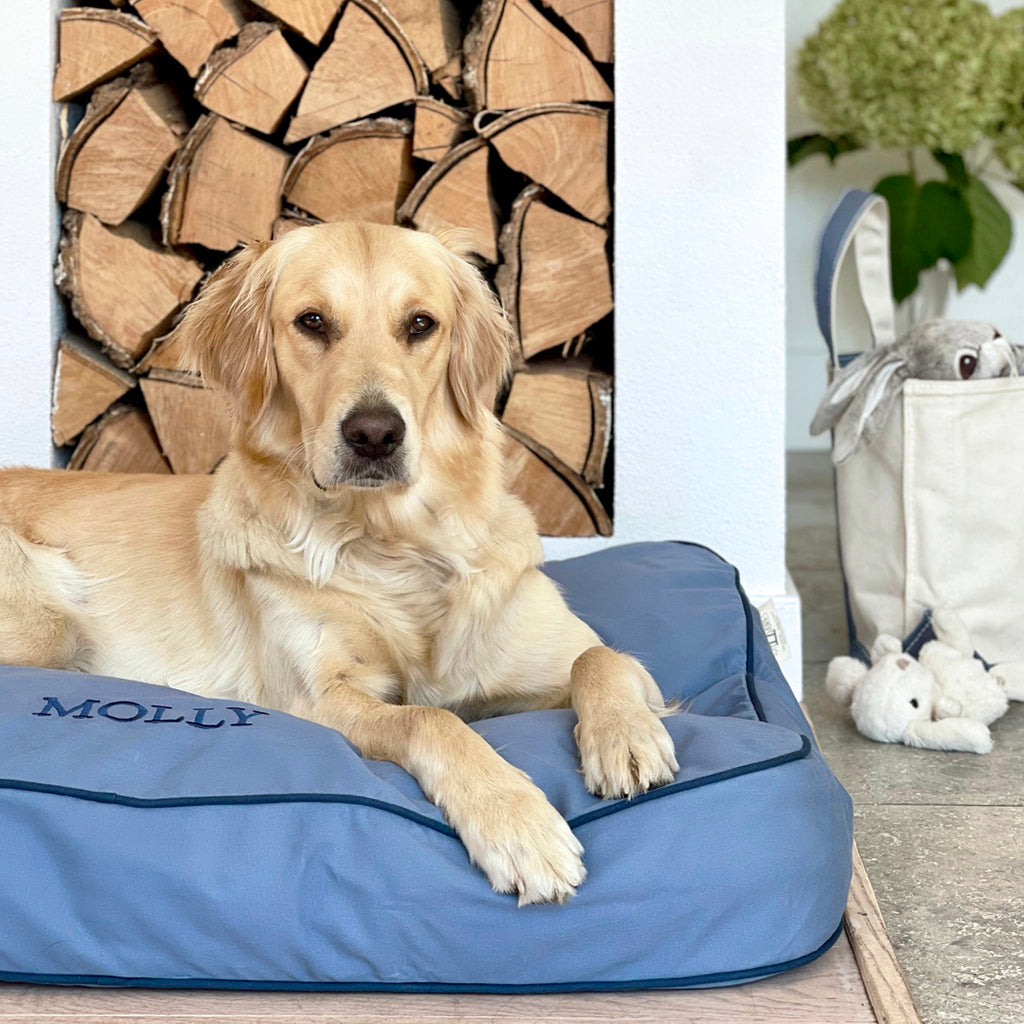 Dog Bed - Falsterbo Sky - Model