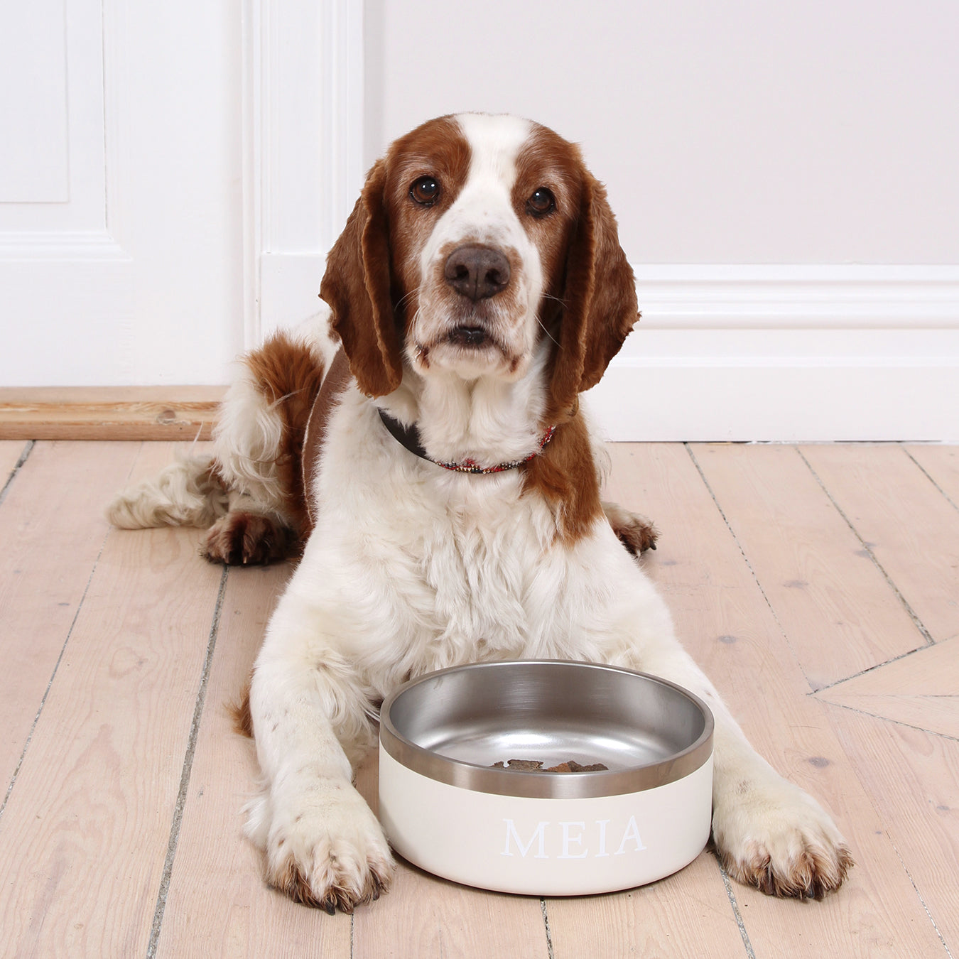 Dog Bowl - San Pedro Sand